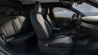 2025 Ford Mustang Mach-E® Internal Image 1